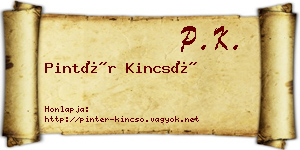 Pintér Kincső névjegykártya